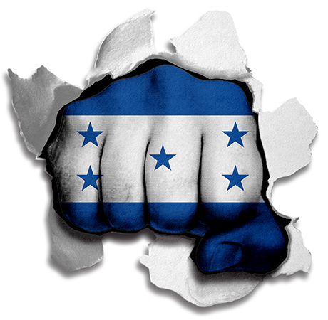 Fist Honduras Flag Logo vinyl decal